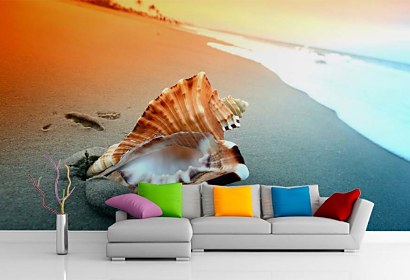 Fototapeta Shell on the beach 3223