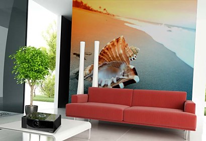 Fototapeta Shell on the beach 3223