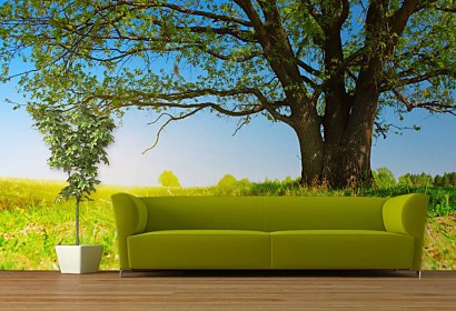 Fototapeta Summer Landscape 3274