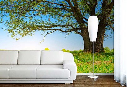 Fototapeta Summer Landscape 3274