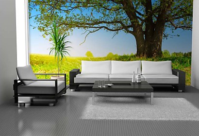 Fototapeta Summer Landscape 3274
