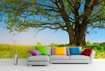 Fototapeta Summer Landscape 3274