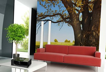 Foto Tapeta Tree and Blue sky 3258