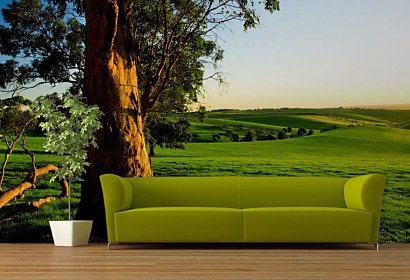 Fototapeta Tree and Meadow 3254