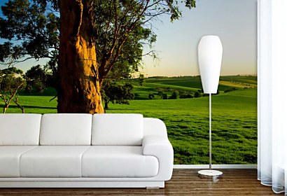 Fototapeta Tree and Meadow 3254