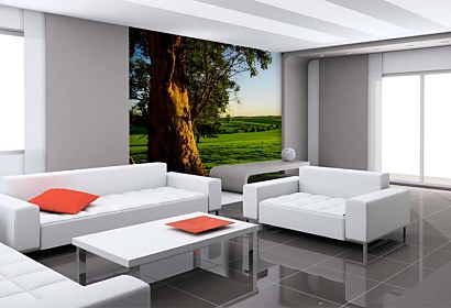 Fototapeta Tree and Meadow 3254
