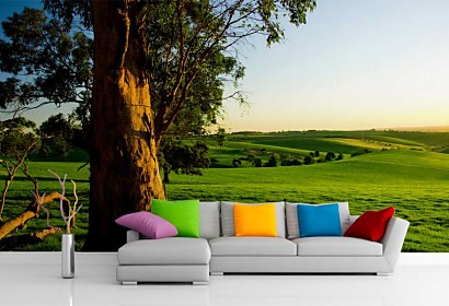 Fototapeta Tree and Meadow 3254