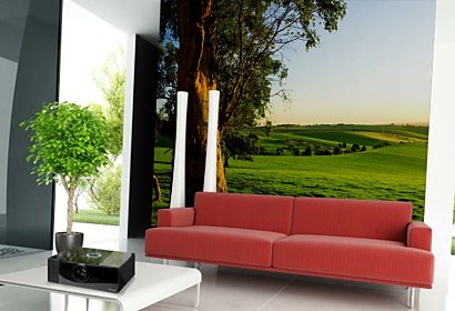 Fototapeta Tree and Meadow 3254