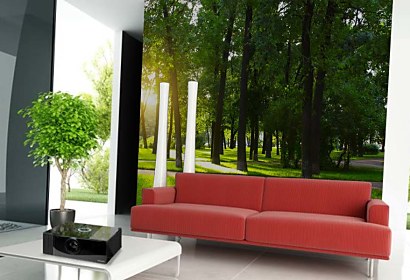 Fototapeta Trees in park 3275