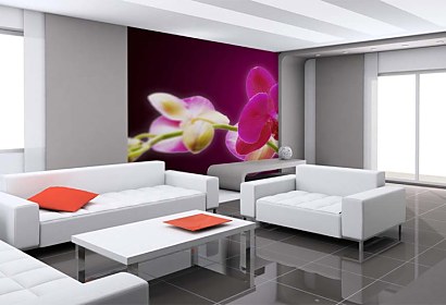 Fototapeta Orchids in Bloom 18605