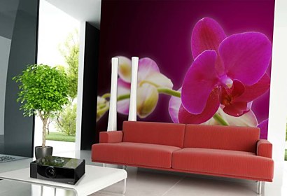 Fototapeta Orchids in Bloom 18605