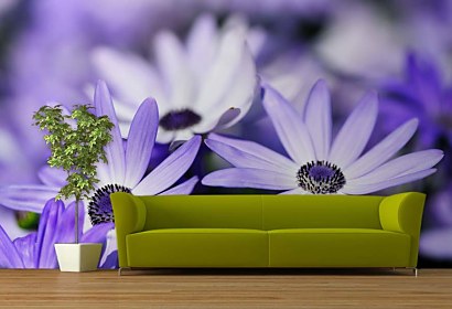 Fototapeta Flower Violet 103
