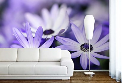 Fototapeta Flower Violet 103