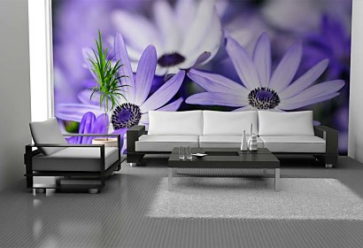 Fototapeta Flower Violet 103