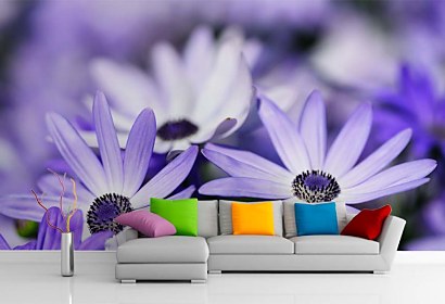 Fototapeta Flower Violet 103