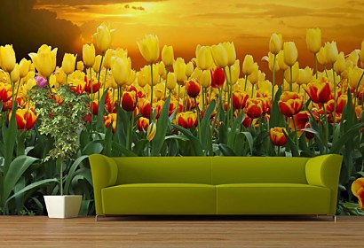 Fototapeta - Tulipány pri Západe slnka 98