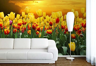 Fototapeta - Tulipány pri Západe slnka 98