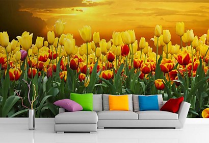 Fototapeta - Tulipány pri Západe slnka 98