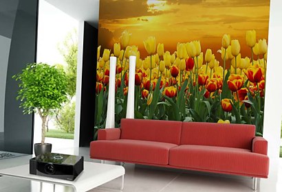 Fototapeta - Tulipány pri Západe slnka 98