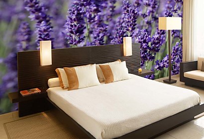 Fototapeta Lavender Field 18564