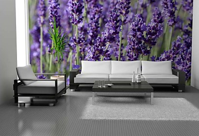 Fototapeta Lavender Field 18564