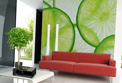 Fototapeta Limes 367