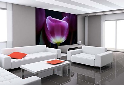Fototapeta Tulipán vo fialovej farbe 3139