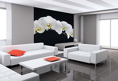 Fototapeta White Orchid 18547