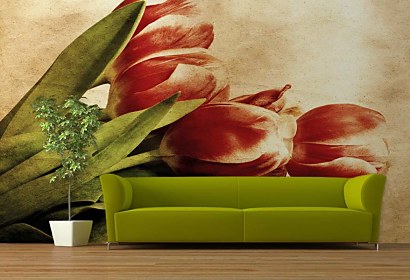 Fototapeta Kytica tulipánov 269
