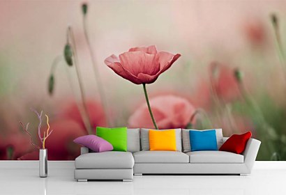 Fototapeta Poppy field 18635
