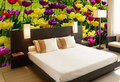 Fototapeta Záhrada s tulipánmi 3150