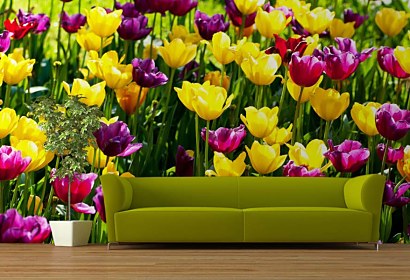 Fototapeta Záhrada s tulipánmi 3150