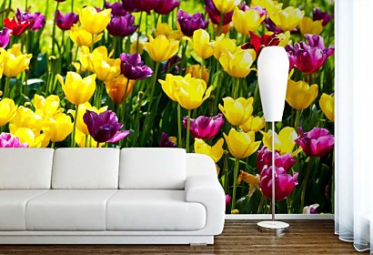 Fototapeta Záhrada s tulipánmi 3150