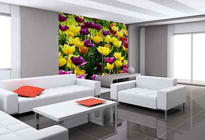 Fototapeta Záhrada s tulipánmi 3150