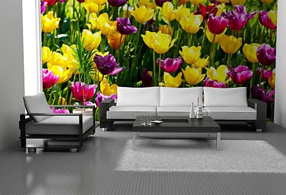 Fototapeta Záhrada s tulipánmi 3150