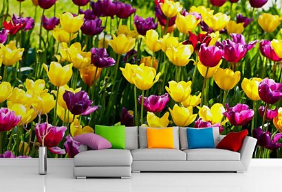 Fototapeta Záhrada s tulipánmi 3150