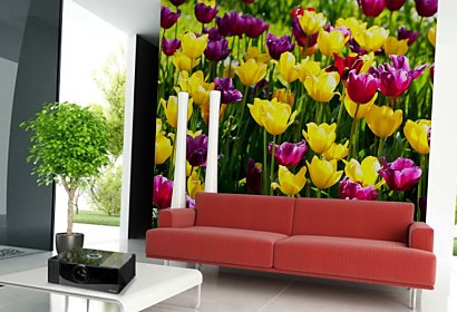 Fototapeta Záhrada s tulipánmi 3150