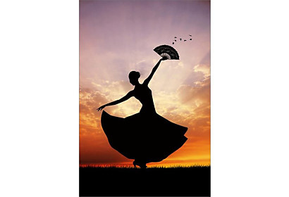 Fototapeta - Flamenco 6435
