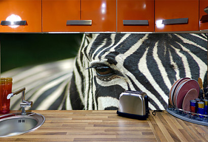 Fototapeta na zástenu - Motív Zebra 119