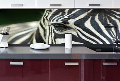 Fototapeta na zástenu - Motív Zebra 119