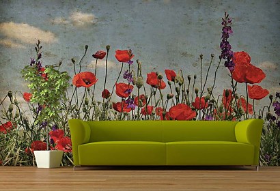 Fototapeta Poppies 6423