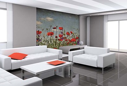Fototapeta Poppies 6423