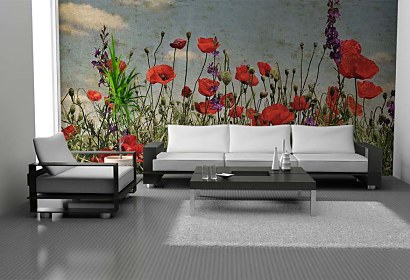 Fototapeta Poppies 6423