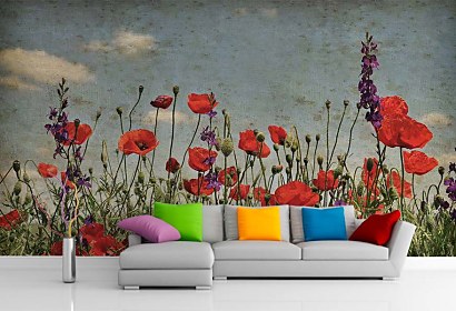 Fototapeta Poppies 6423