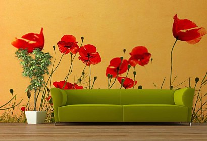 Fototapeta Wild Poppies 5977