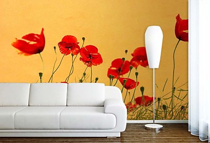 Fototapeta Wild Poppies 5977