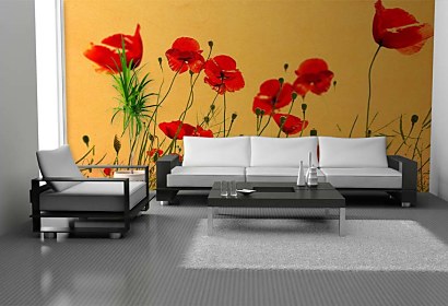 Fototapeta Wild Poppies 5977
