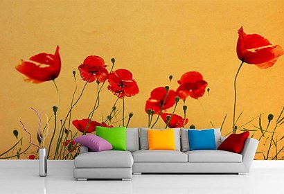 Fototapeta Wild Poppies 5977