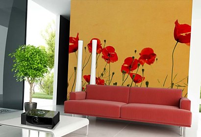 Fototapeta Wild Poppies 5977