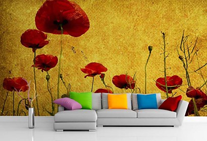 Fototapeta Red Poppies 6319